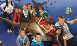Clsh Ete 2016   266